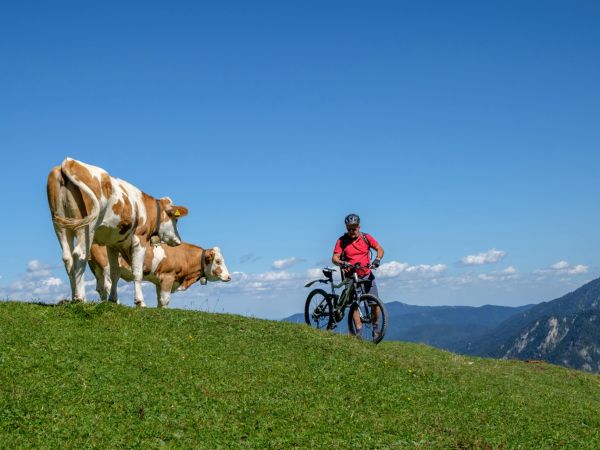 Mountainbiker auf Wald- und Bergtrail in alpiner Umgebung